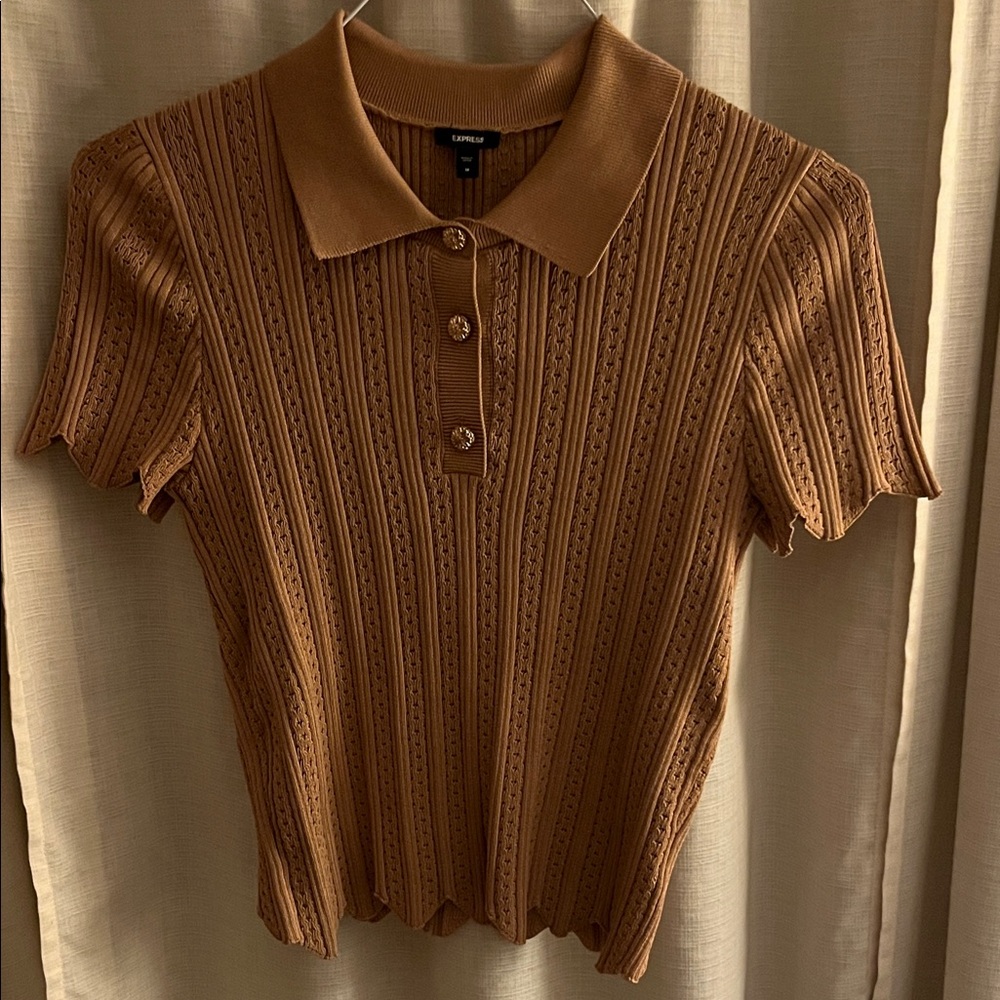 Express Brown Button Down Knit Top